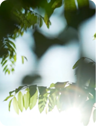 葫蘆墩文化理念 - 圖示1